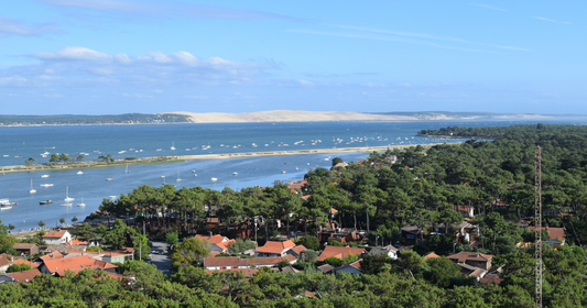 Exploring the Oyster Villages of Cap Ferret Peninsula